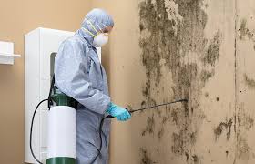 Jacinto City, TX Mold Removal Services Company